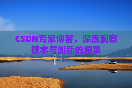 CSDN专家博客，深度洞察技术与创新的源泉